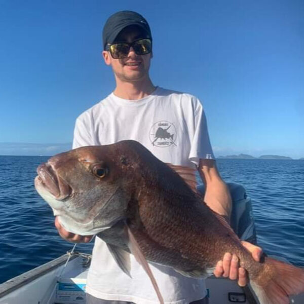 Mens T-Shirts Thumbnail