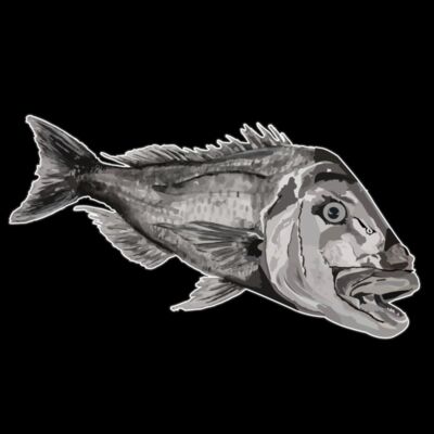 Limit your catch black writing nick art Thumbnail